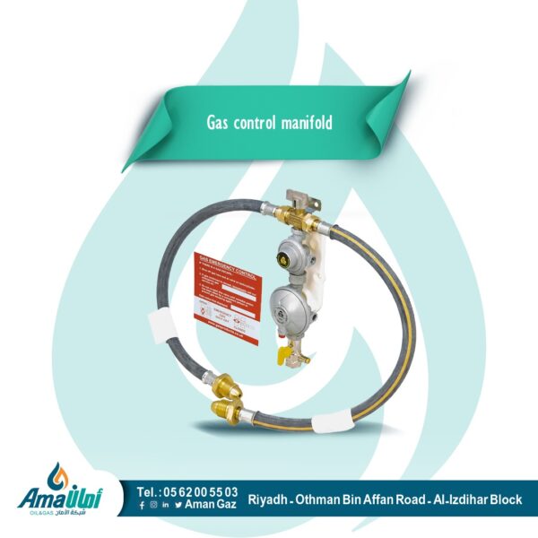 Gas control manifold